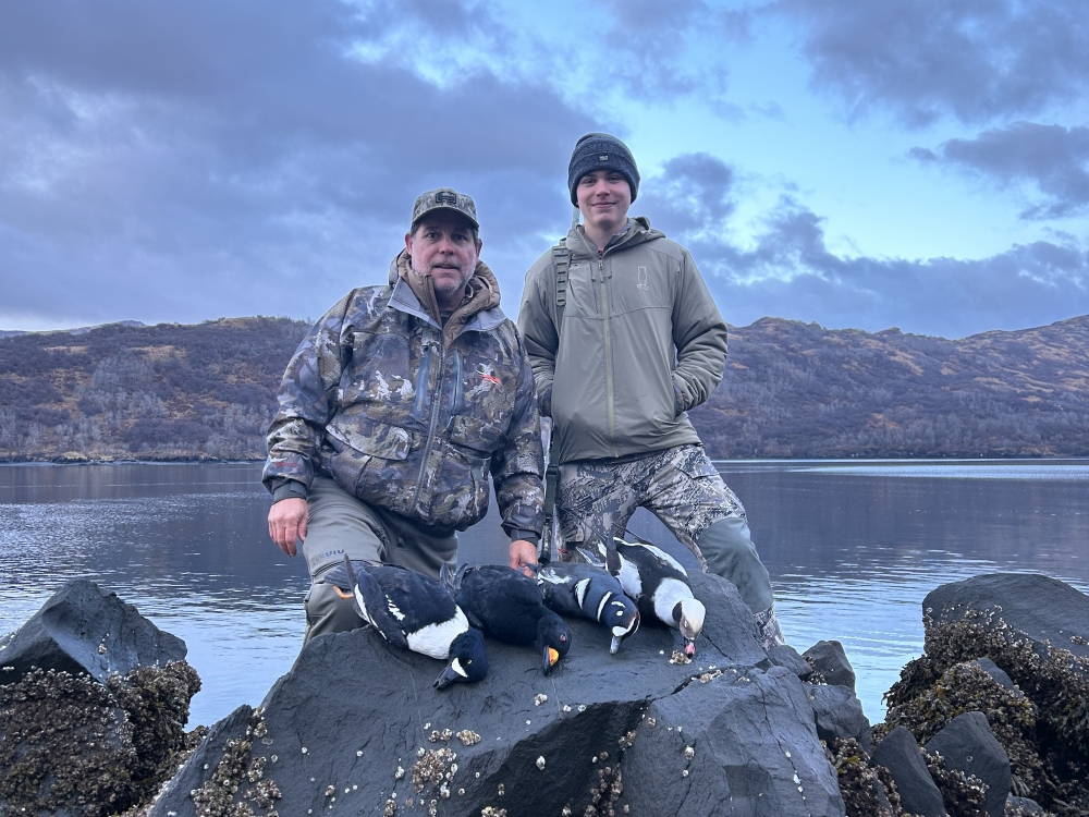 alaska duck hunting 